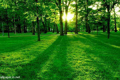 HD Wallpapers Download Mobile   Wallpapers Zone