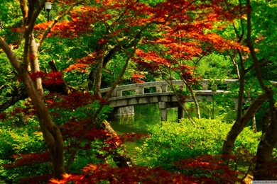 Japanese Garden (Kyoto) HD Desktop Wallpapers : Widescreen : High ...