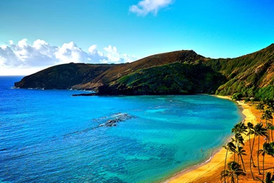 Beach Shade Hawaii Hd