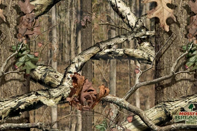 High Res Guatemala Wallpapers