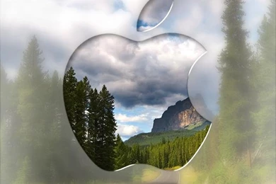 Download Iphone Wallpapers For Android, Iphone Wallpapers 1.3.0 Download