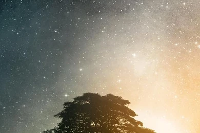 Iphone 5 Live Wallpapers