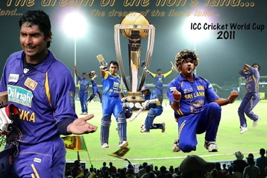 Wallpapers Virat Kohli New Fresh Of Cricket World Cup 1024x768 ...