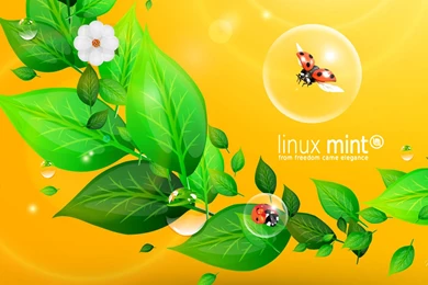 My Minty Wallpapers Collection 2014   Linux Mint Forums
