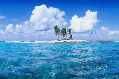 Bing Wallpapers Collection (41+)