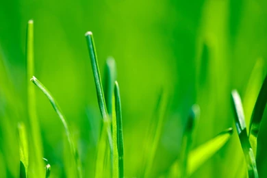 Explore This Awesome New Quad HD Wallpapers Collection (full res ...