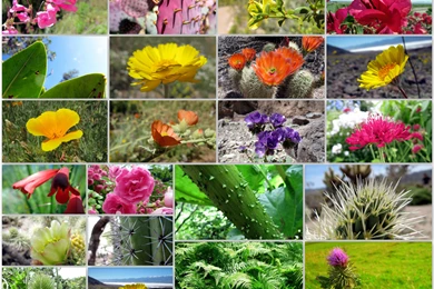 Wallpapers Nature Zip Collection Download