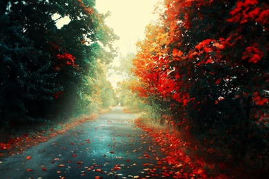 Amazing Nexus 7 Wallpapers Collection