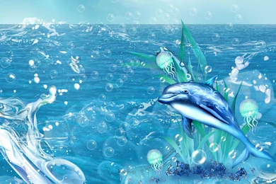 Dolphin Wallpapers, Images, Photos, Pictures & Pics