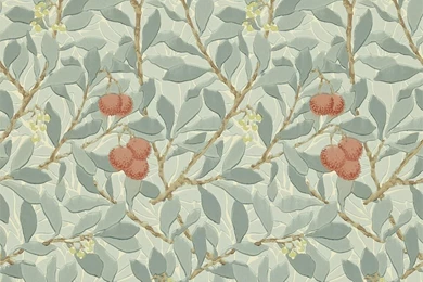 Morris & Co Wallpapers