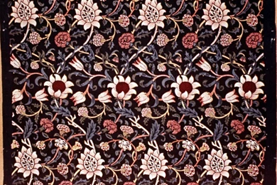 Index Of /users/bump/images/PRB/Morris/wallpapers