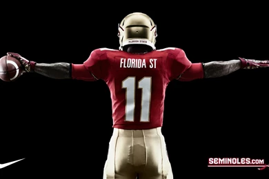 Seminoles Wallpapers   Wallpapers Zone