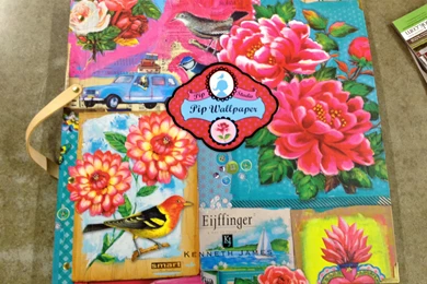 New Wallpapers Book* Kenneth James Pip