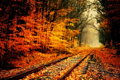 Download Autumn Wallpapers – 2560×1600 High Definition Wallpapers ...