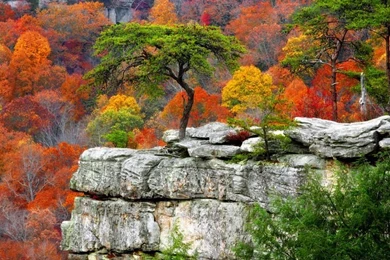 Fall Mountains Desktop Backgrounds Hd Widescreen 11 HD Wallpapers ...