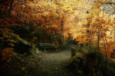 Fall HD Desktop Wallpapers : Widescreen : High Definition ...