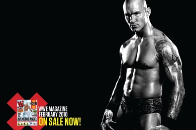 WWE Wallpapers   WWE Wallpapers (21437349)   Fanpop