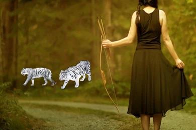 Deer Hunting Wallpapers Iphone