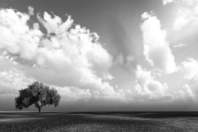 Black And White Lazy Beautiful Days Wallpapers : Nature & Landscape ...