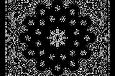 Beautiful Black And White Patterned Backgrounds Vector