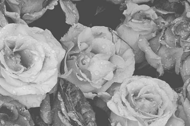 Google Image Result For Http://static.tumblr.com ...