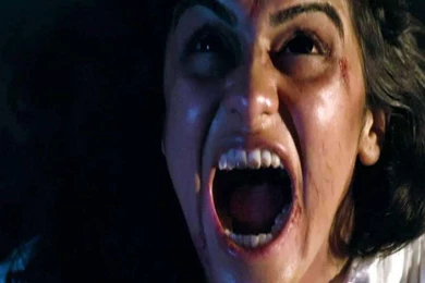 1920: Evil Returns Movie Wallpapers Wallpapers (1152x864 ...