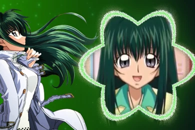 Rina Wallpapers   Mermaid Melody Wallpapers (31219392)   Fanpop