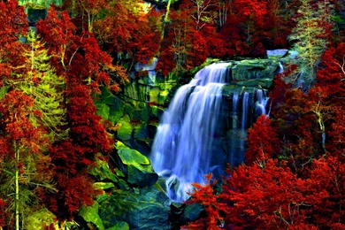 AUTUMN FOREST FALLS Pics