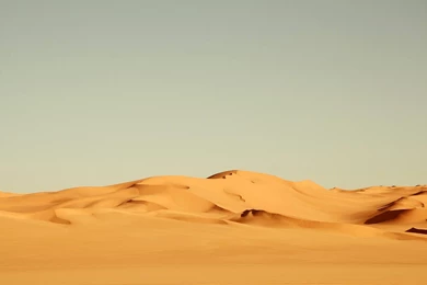 Dune Wallpapers   (