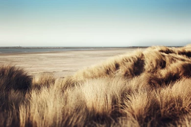 Theme Bin» Blog Archive » Dunes HD Wallpapers