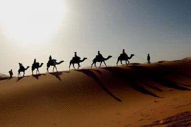 Photography   Page 316