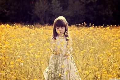 Cute Child In A Flower Field HD Desktop Wallpapers : Widescreen ...