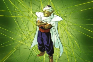 Piccolo   Piccolo Jr Wallpapers (8414342)   Fanpop