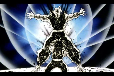 Piccolo's Sacrifice*   Dragon Ball Z Wallpapers (35772689)   Fanpop