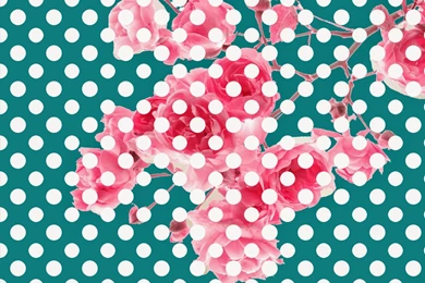 Doodlecraft: Wild Rose Blossoms Polka Dot Wallpapers Background!