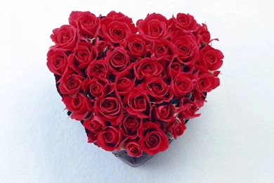 Red Rose Heart Wallpapers   Wallpapers Cave