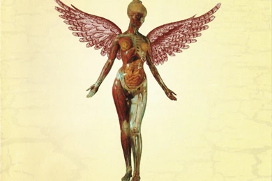 Nirvana Wallpaper, Picture, Photo, Image