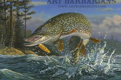 Pike Fish On Pinterest