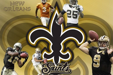 New Orleans Saints Wallpapers 739587 Photo