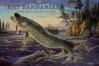 Pike Fish On Pinterest