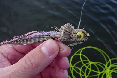 Fishing And Thinking In Minnesota: April 2006