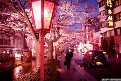 Summer In Japan Wallpapers   Crazy Frankenstein