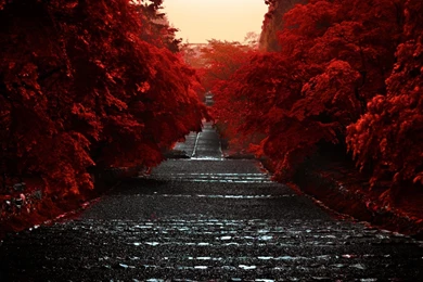 Japan Honshu Island Mac Wallpapers Download