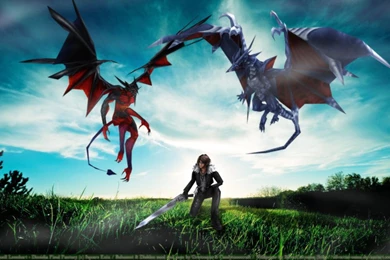 Browsing Wallpapers On DeviantArt