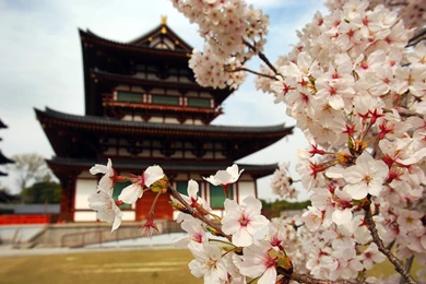 Japan Wallpapers For Iphone   Kemecer.com