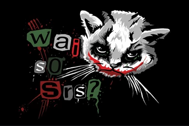 Funny HD Wallpapers 1920X1080