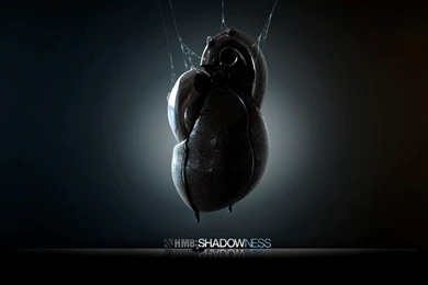 Wallpapers Umbrella Corporation Videos Kpop Date Pour 2560x1440 ...