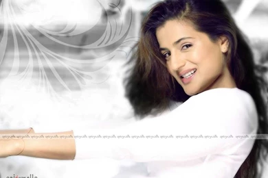Amisha Patel Wallpapers