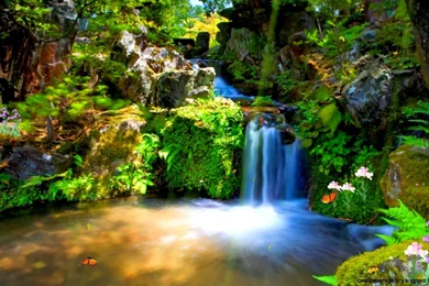 Animated Wallpapers For Mobile Phone