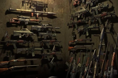 Stalker Guns Games Military Weapons Wallpapers   (